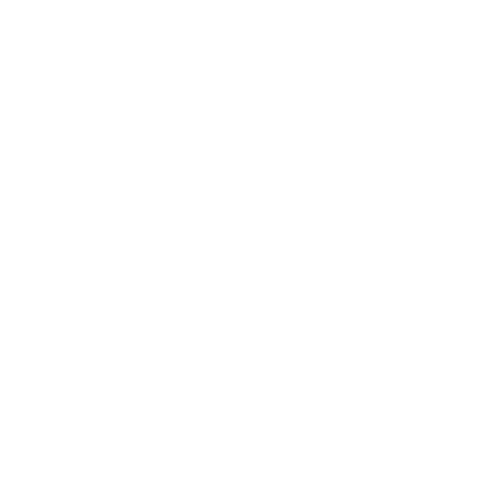 precise logo white